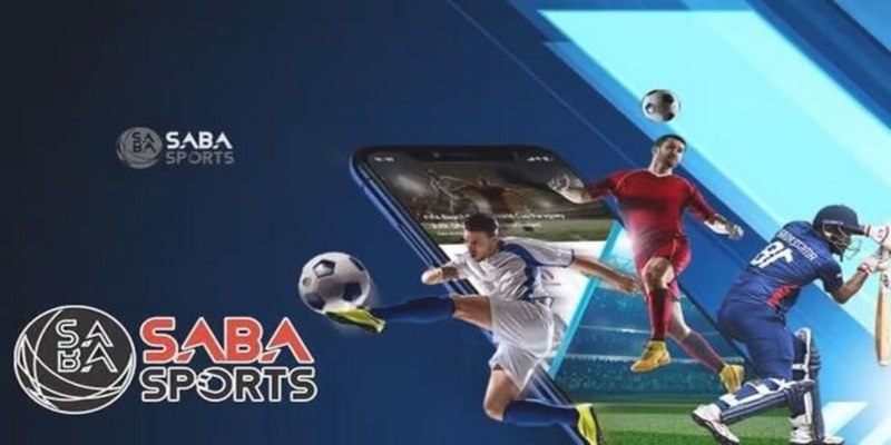 Cá cược bóng rổ hấp dẫn