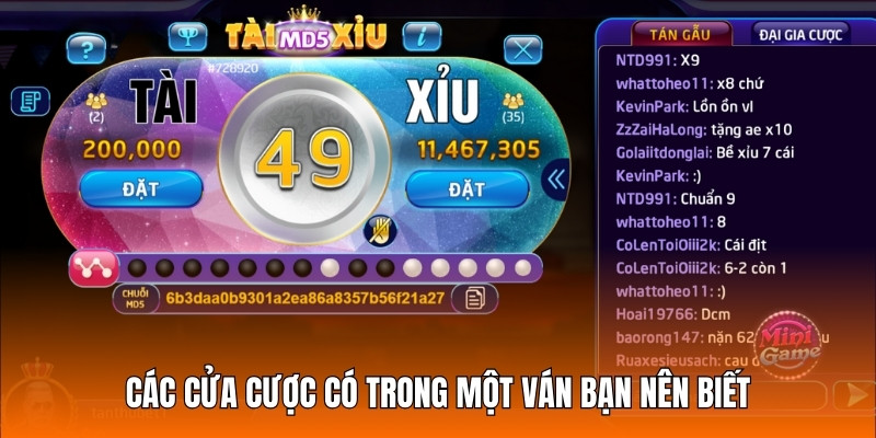 Các cửa cược có trong một ván Sicbo bạn nên biết