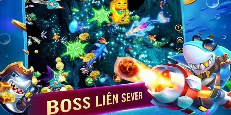 Lưu ý khi nhận code zagoo