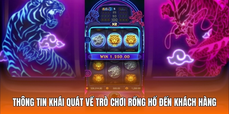 Thông tin khái quát về trò chơi Rồng Hổ đến khách hàng
